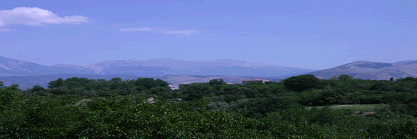 Moutain View